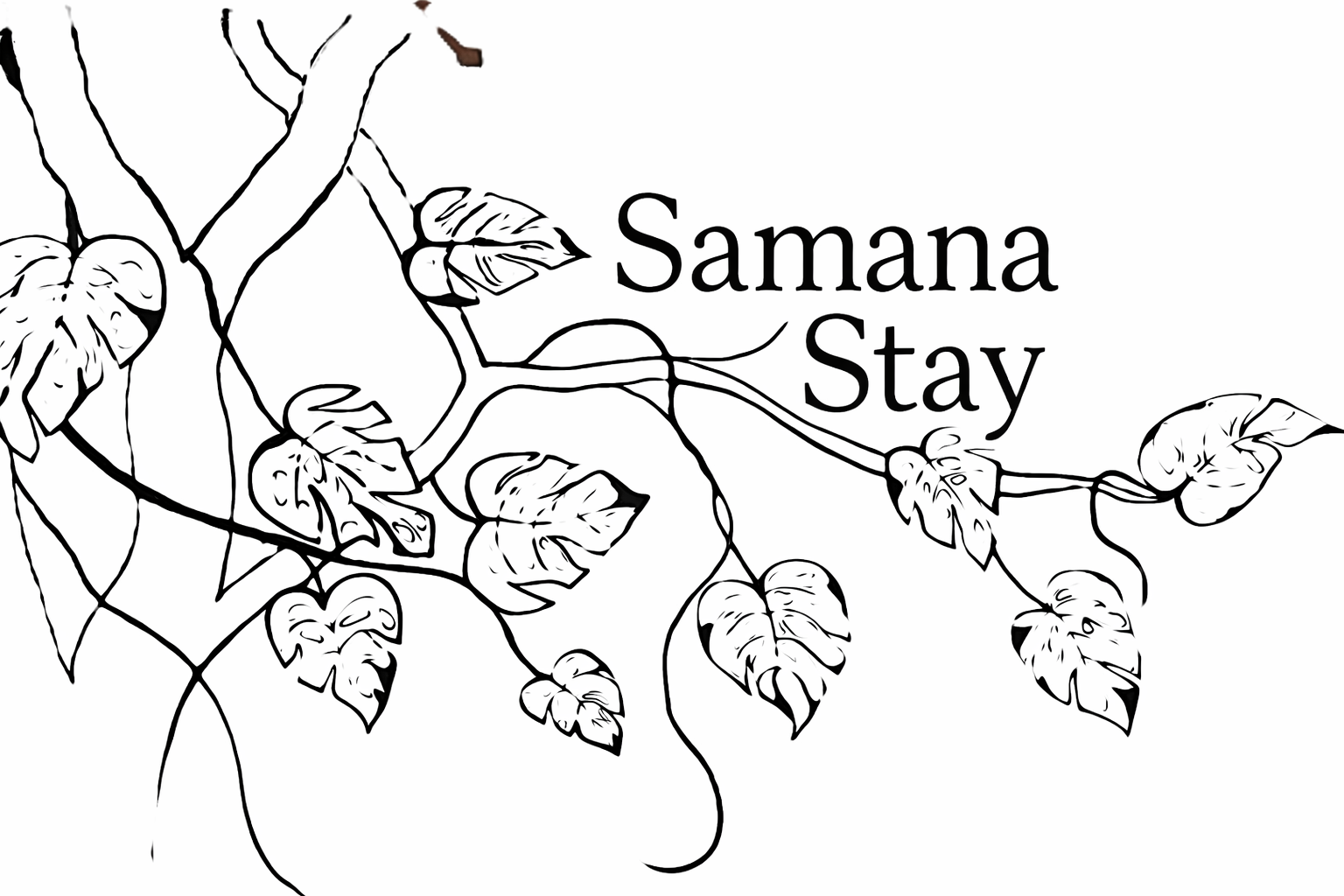 Samana Stay